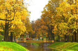 carskoe_selo_3